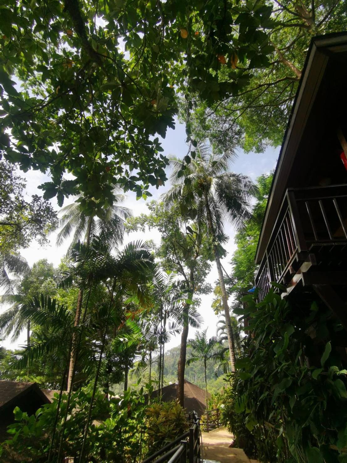 Baan Krating Khao Lak Resort - Sha Plus Экстерьер фото
